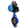 Butterfly Valve With Spring Return Actuator And Switchbox